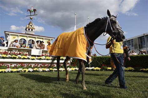 2023 Preakness Stakes Betting Guide: How to Bet, Where to Bet .